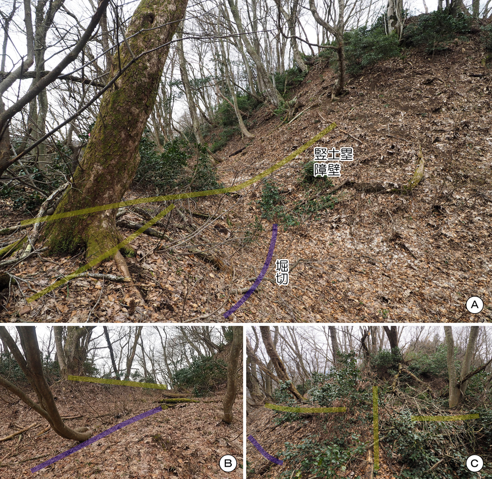 一乗谷城 堀切j 竪土塁(障壁)
