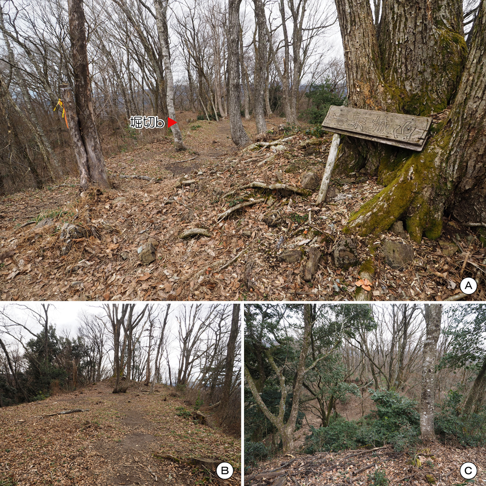 一乗谷城三の丸南