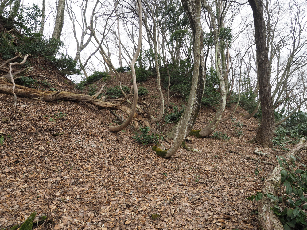 一乗谷城三の丸北と南北間堀切