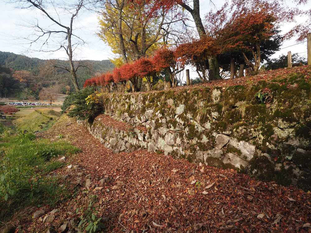 朝倉館南濠石垣