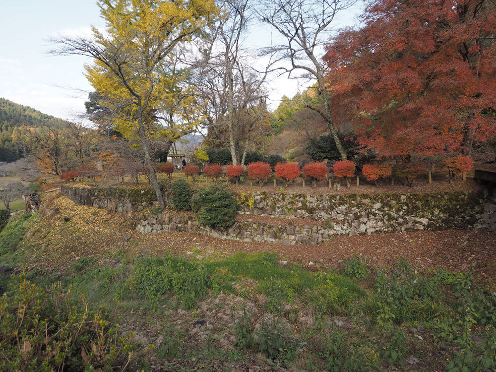 朝倉館南濠石垣