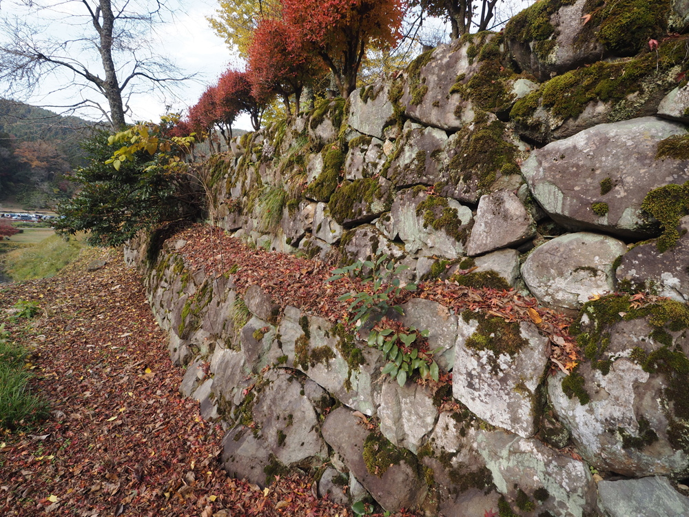 朝倉館南濠石垣
