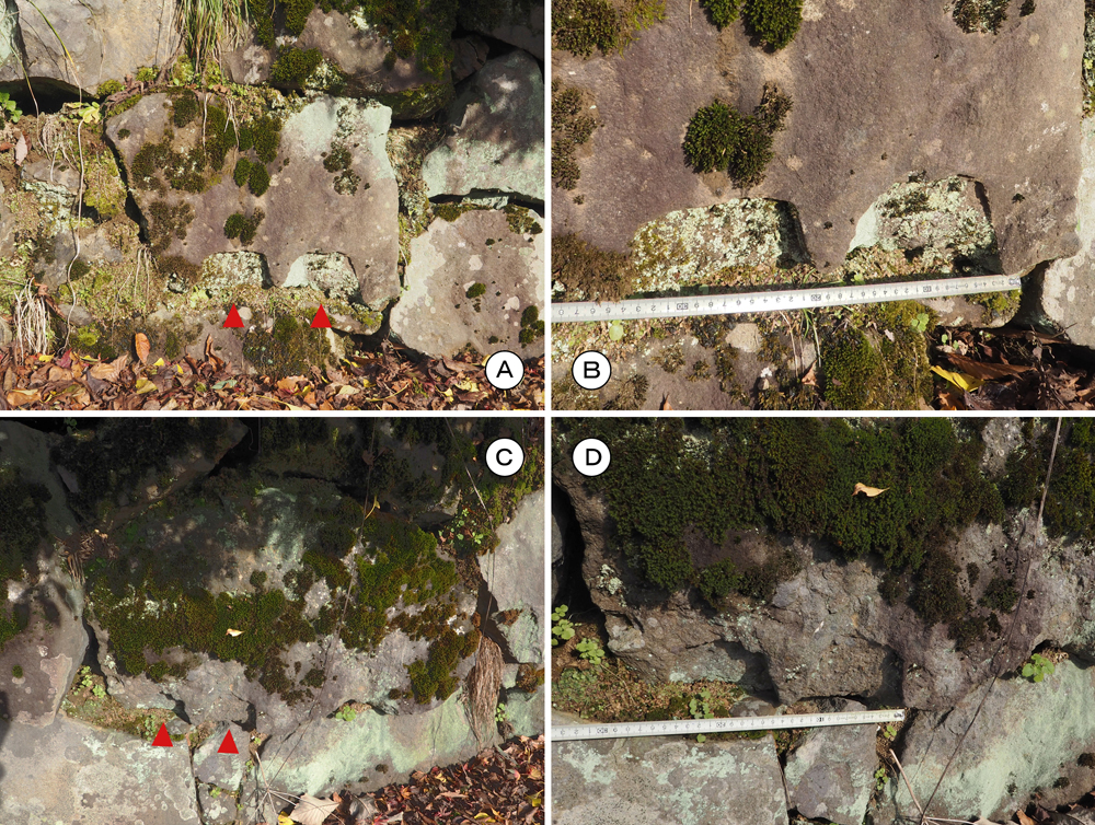 朝倉館南濠石垣矢穴