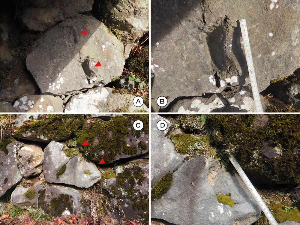 朝倉館南濠石垣矢穴