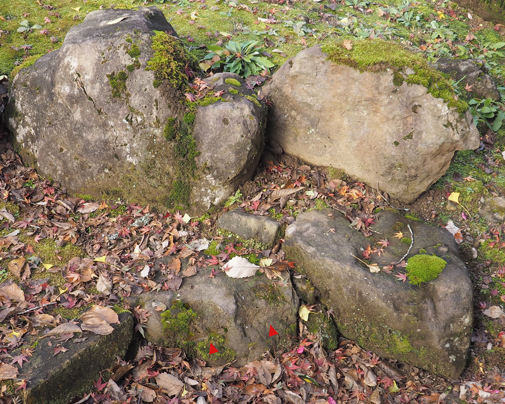 朝倉館湯殿跡庭園矢穴