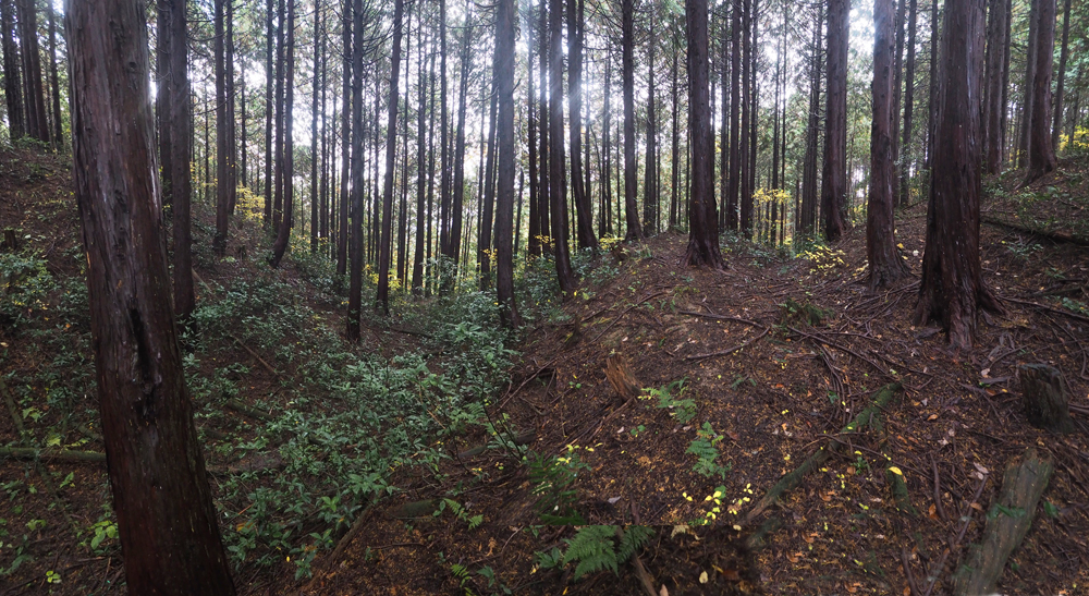 62・63号墳、堀タ