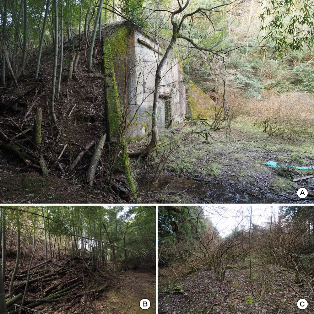 第三海軍火薬廠覆土式火薬庫覆土