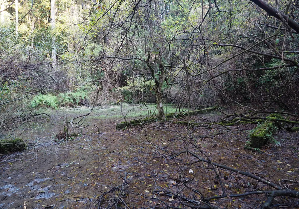 第三海軍火薬廠検査場地区