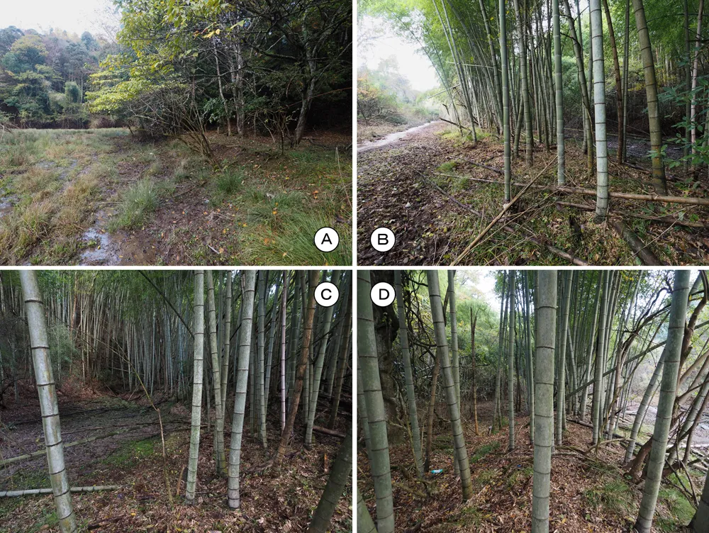 第三海軍火薬廠検査場地区 造成地