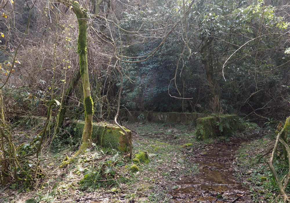 第三海軍火薬廠第一製造部 原料置場