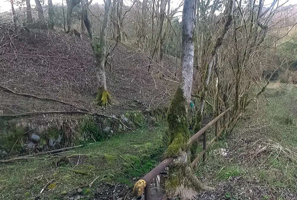 乾燥谷第25工場西端工場用地盛土状況。