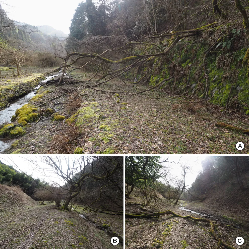 乾燥谷第25工場南側幹道