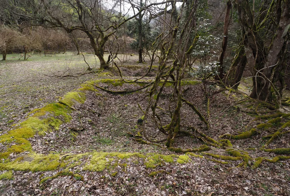 乾燥谷1区 水槽