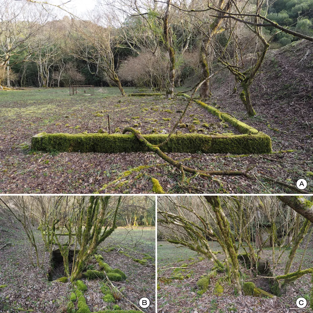 乾燥谷1区 建物基礎不明建物便所(便槽)