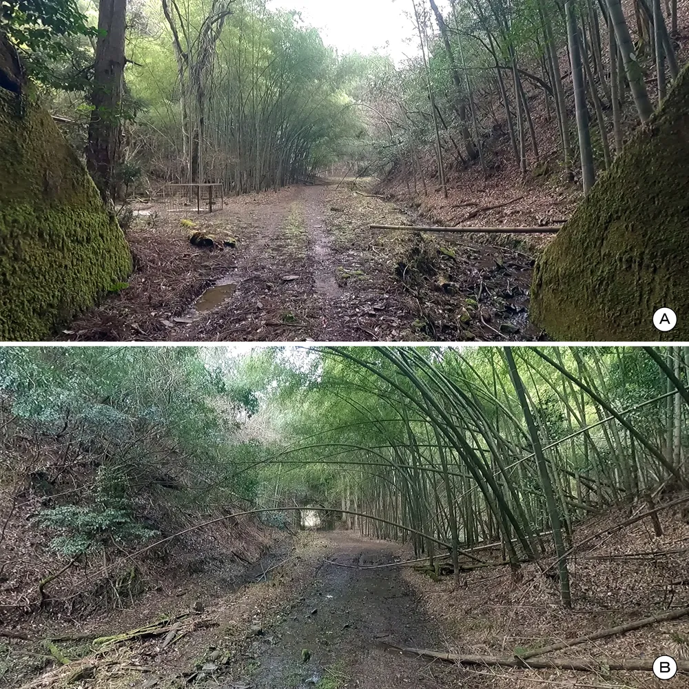 未完成地区 1･2号隧道間
