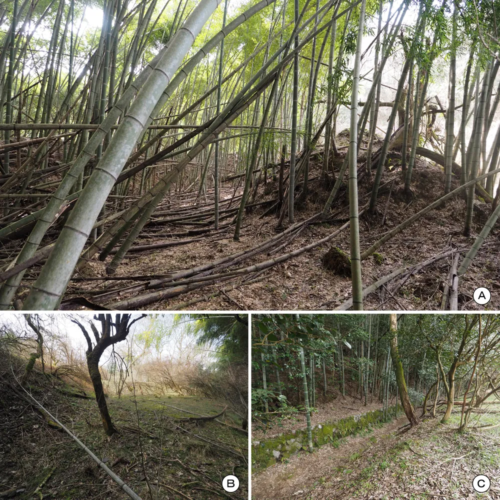 乾燥谷2区 乾燥爆薬置場BC区