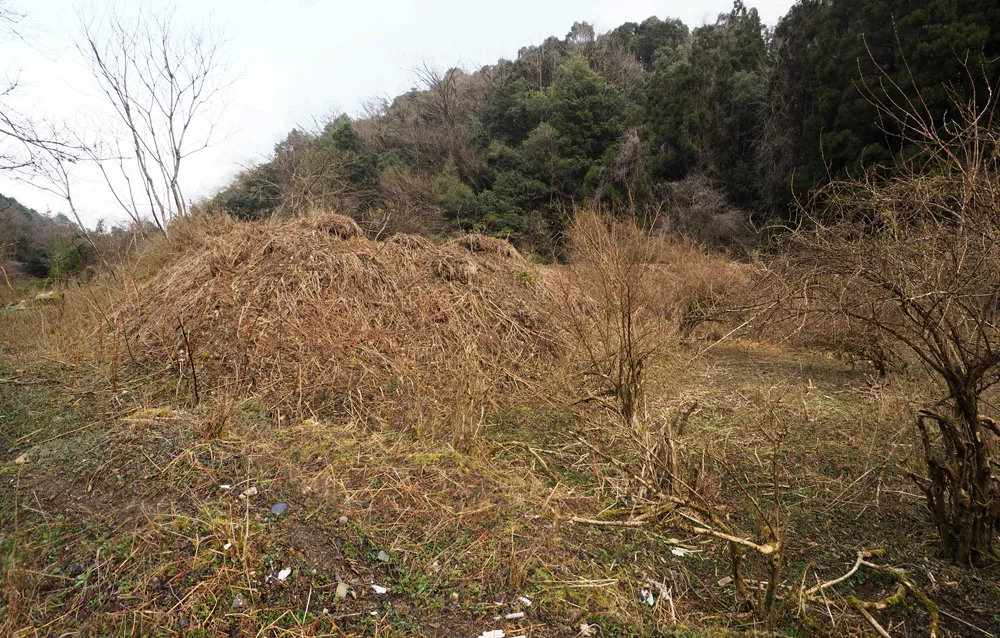 乾燥谷4区 乾燥爆薬置場土塁