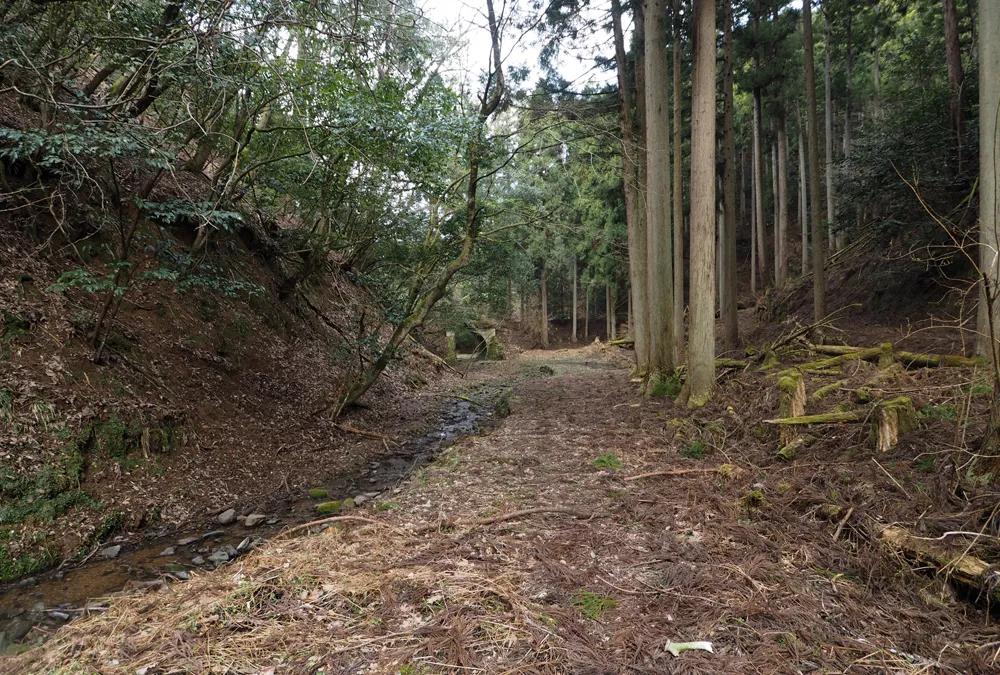未完成地区 2号隧道奥