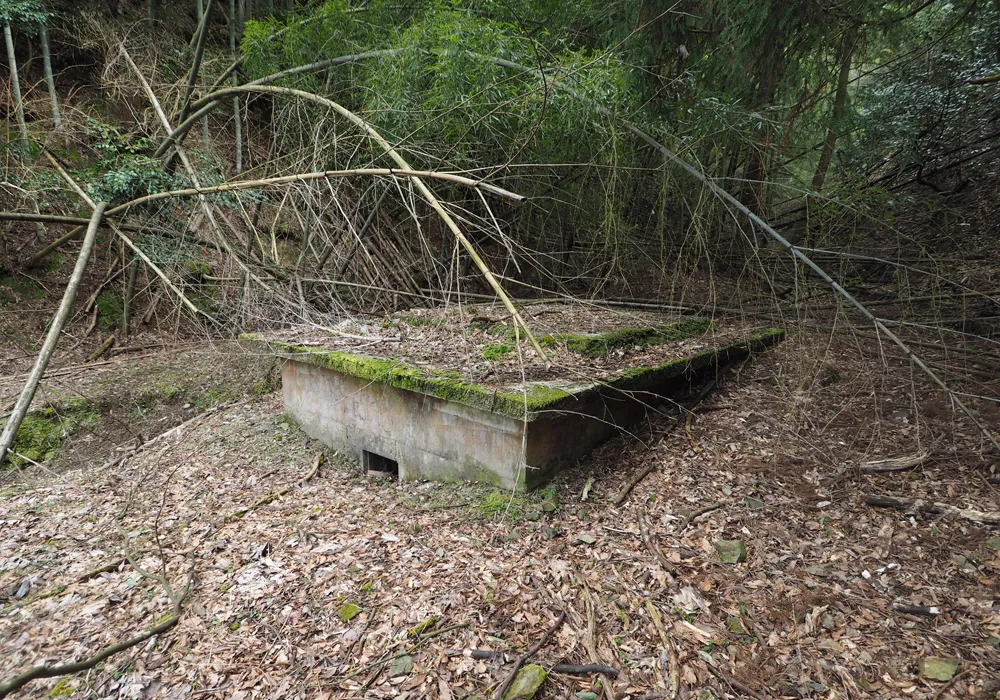 乾燥谷4区 湿薬置場