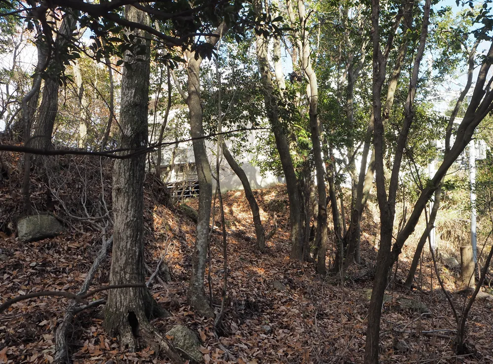 宇佐山城 主郭虎口