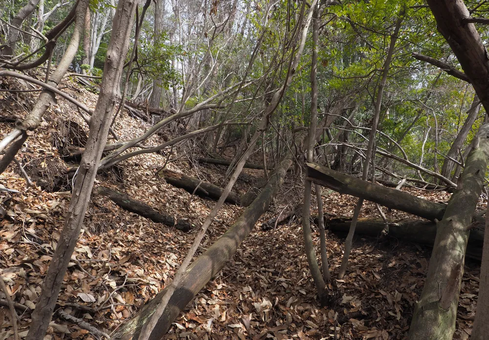 法貴山城 横堀
