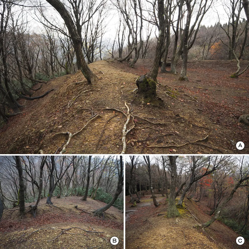 玄蕃尾城曲輪Ⅵ(南曲輪)