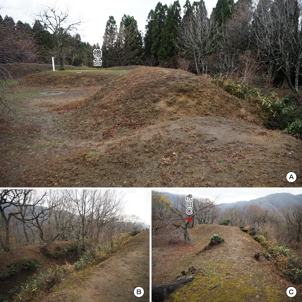 玄蕃尾城 曲輪Ⅰ(主郭)東側土塁、虎口C付近