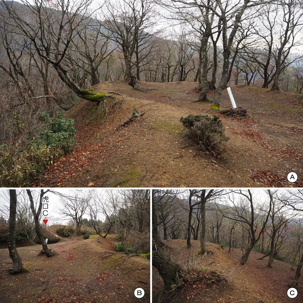 玄蕃尾城 曲輪Ⅳ(堡塁/馬出)