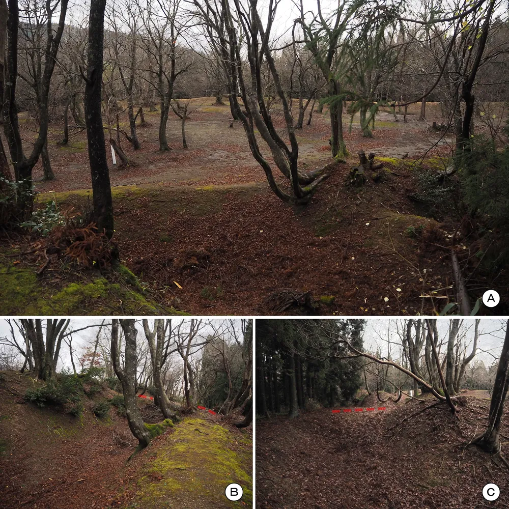 玄蕃尾城曲輪Ⅶ(北曲輪)周辺