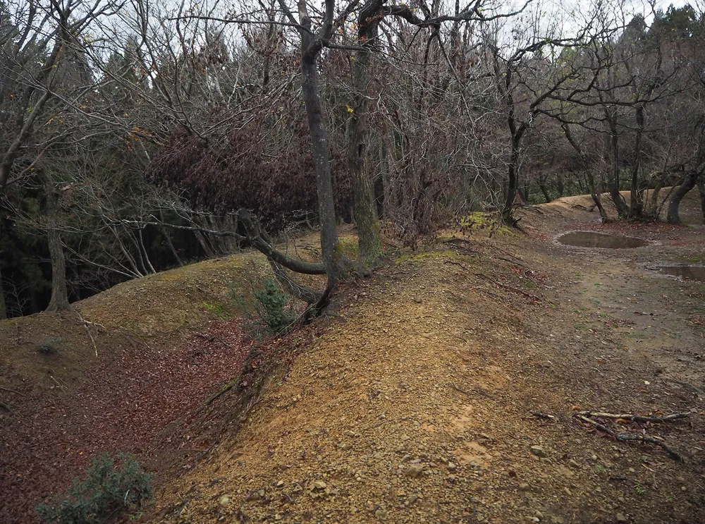 玄蕃尾城曲輪Ⅶ(北曲輪)西側土塁･横堀
