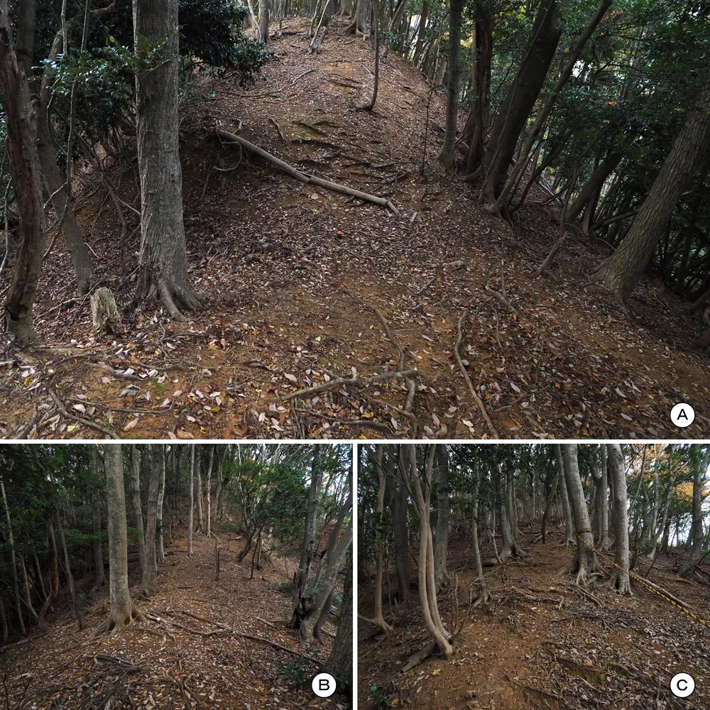 中山の付城東堀切