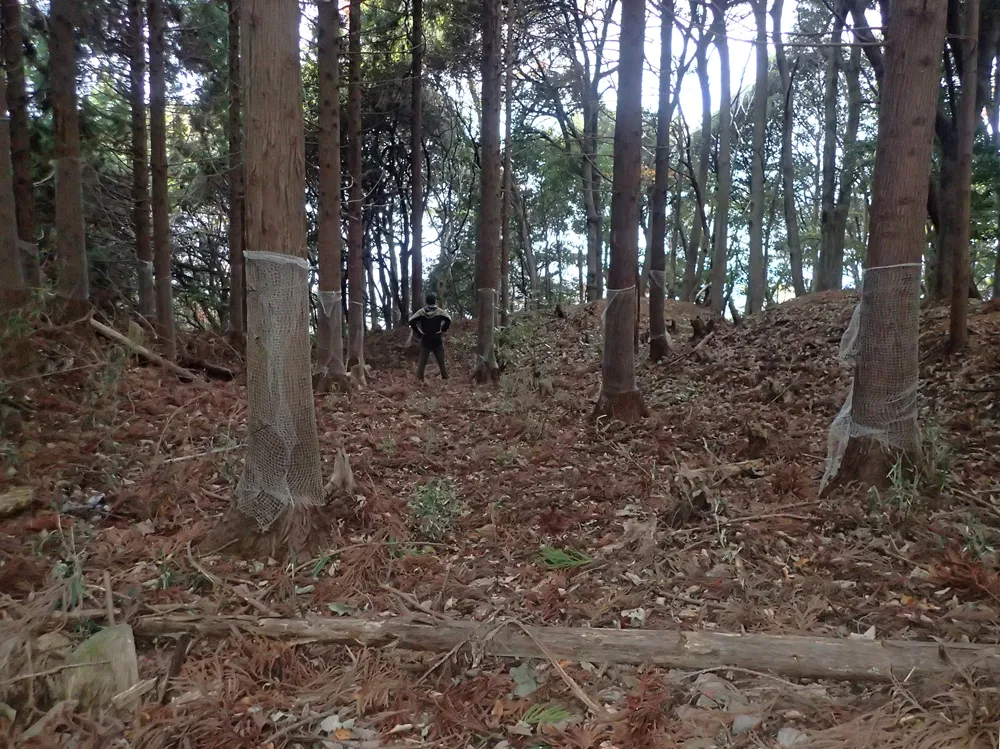 中山の付城 主郭