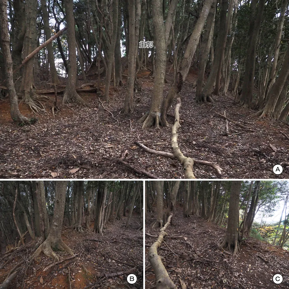 中山の付城東曲輪