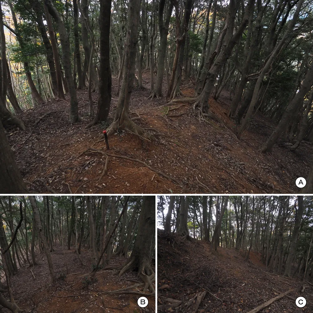 中山の付城東曲輪