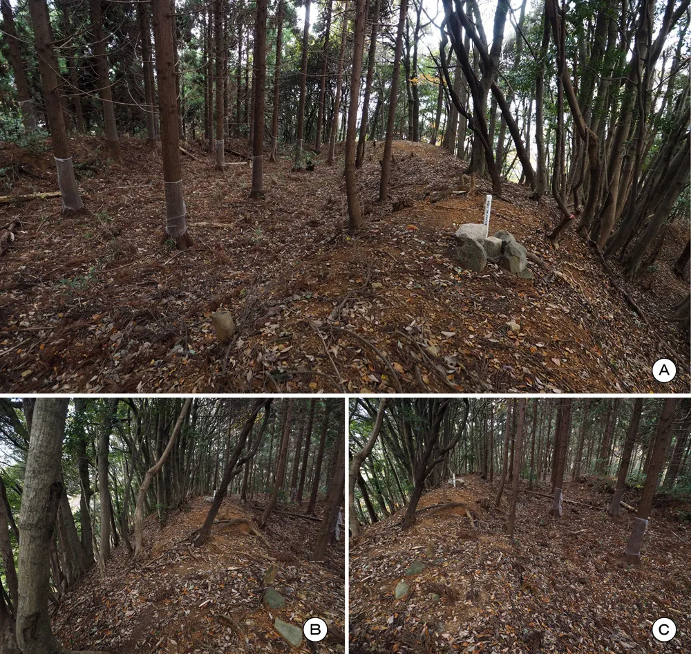 中山の付城主郭北側