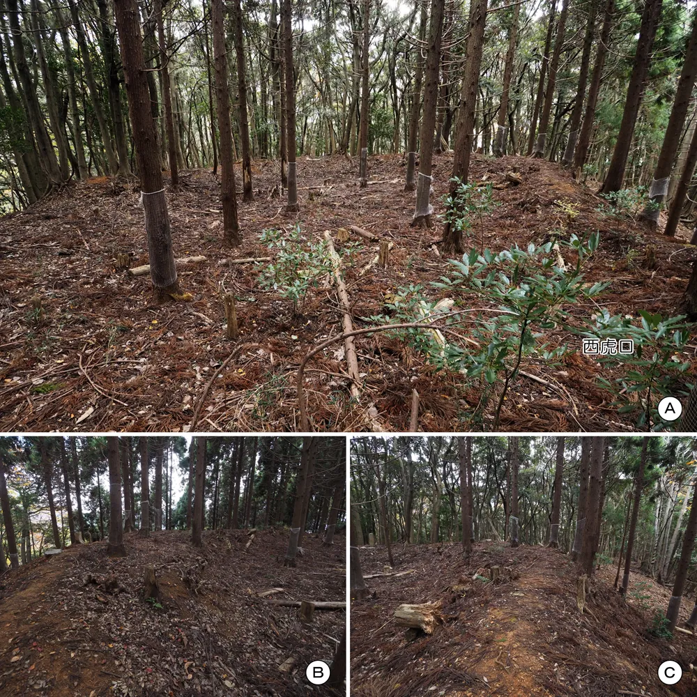 中山の付城主郭南側