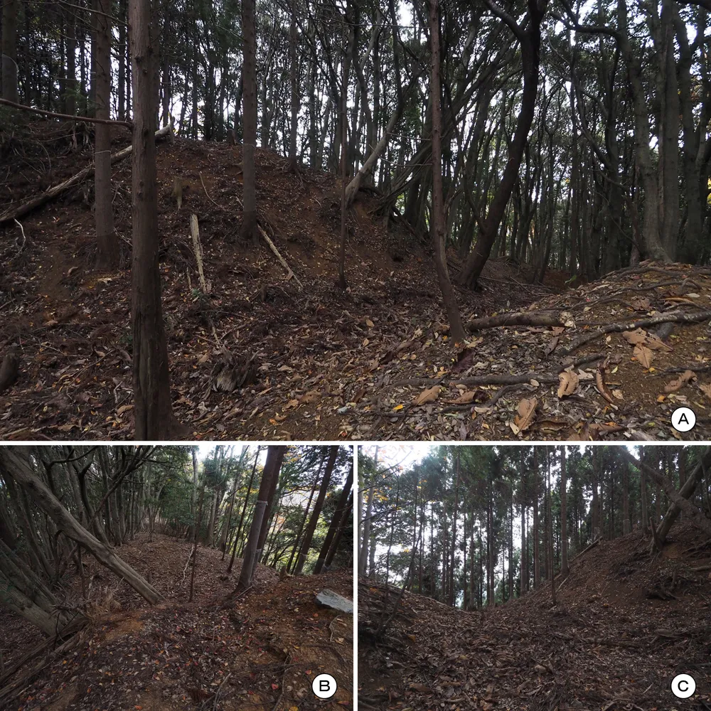 中山の付城南堀切