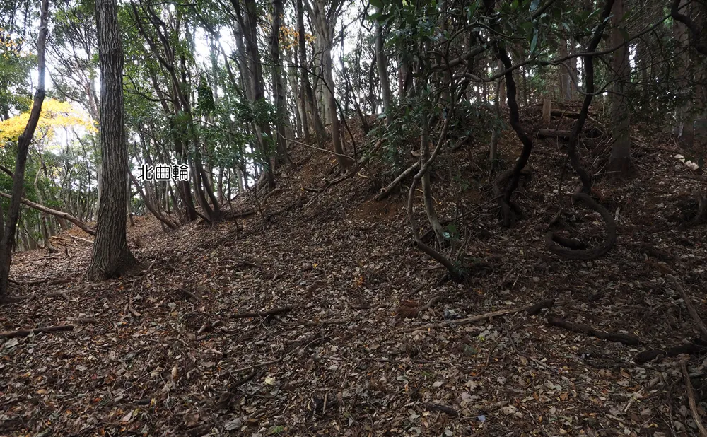 中山の付城主郭切岸