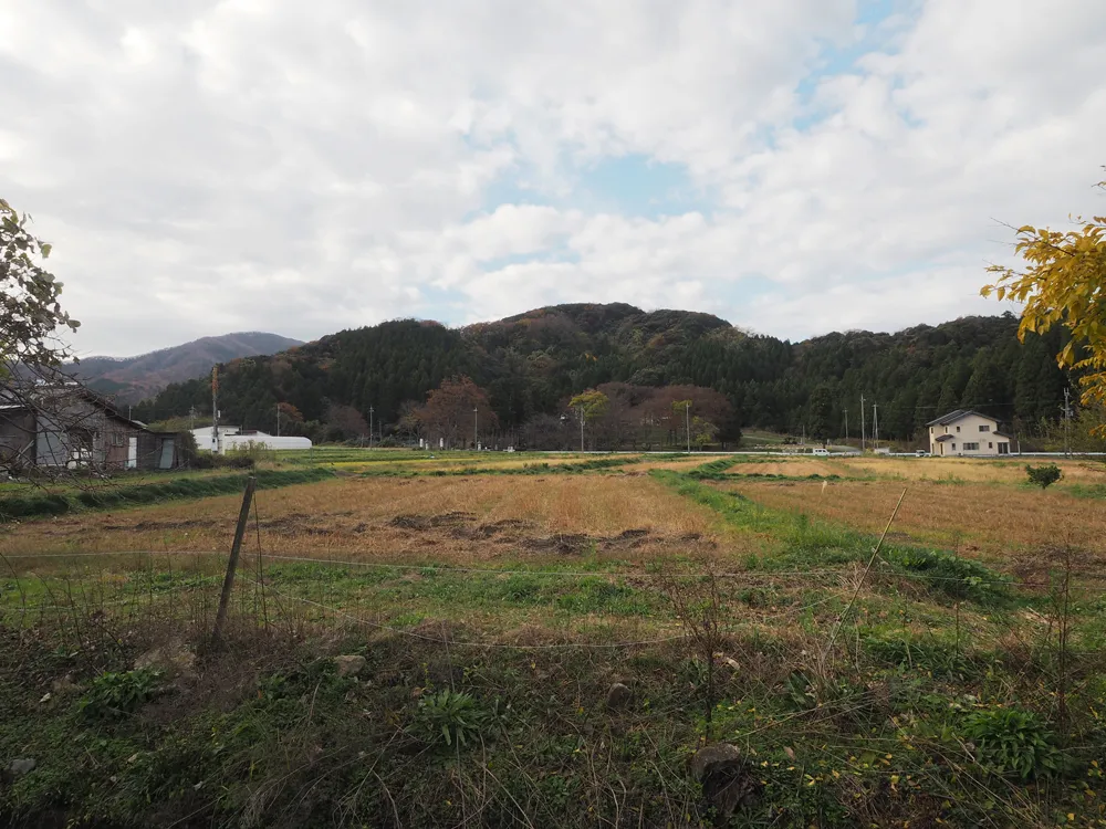 中山の付城と山ろく芳春寺遠景