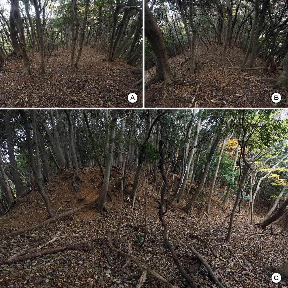 中山の付城北曲輪