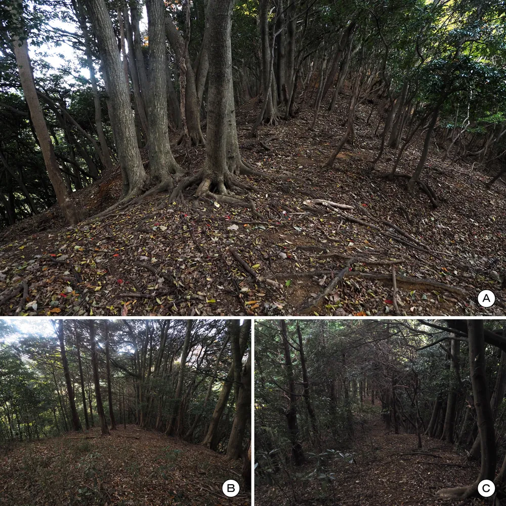 中山の付城北堀切と北尾根