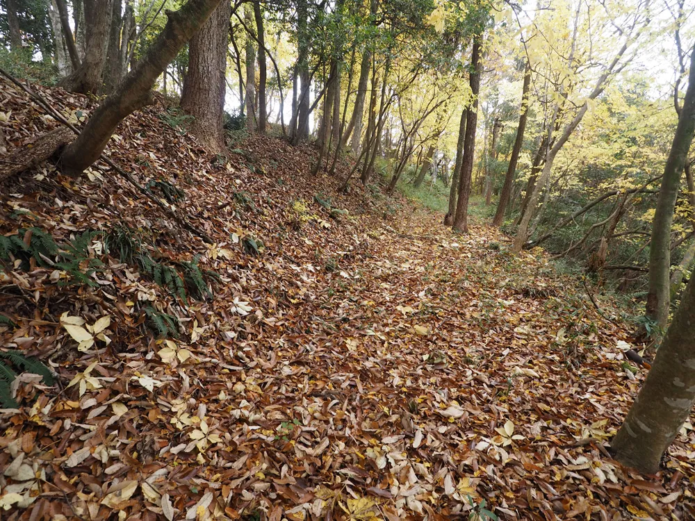 伝木下秀吉陣跡最下段北東辺部腰曲輪