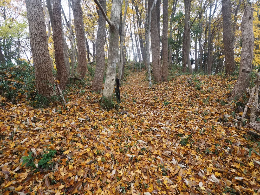 伝木下秀吉陣跡南虎口前通路