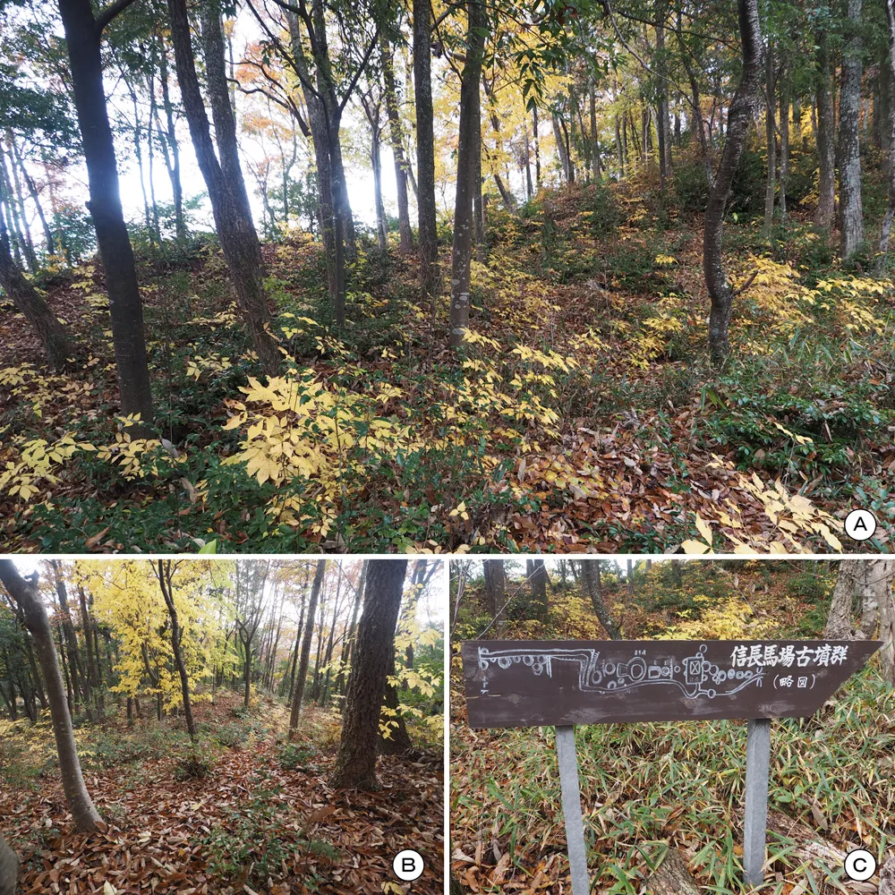 伝滝川一益陣跡南側斜面古墳群