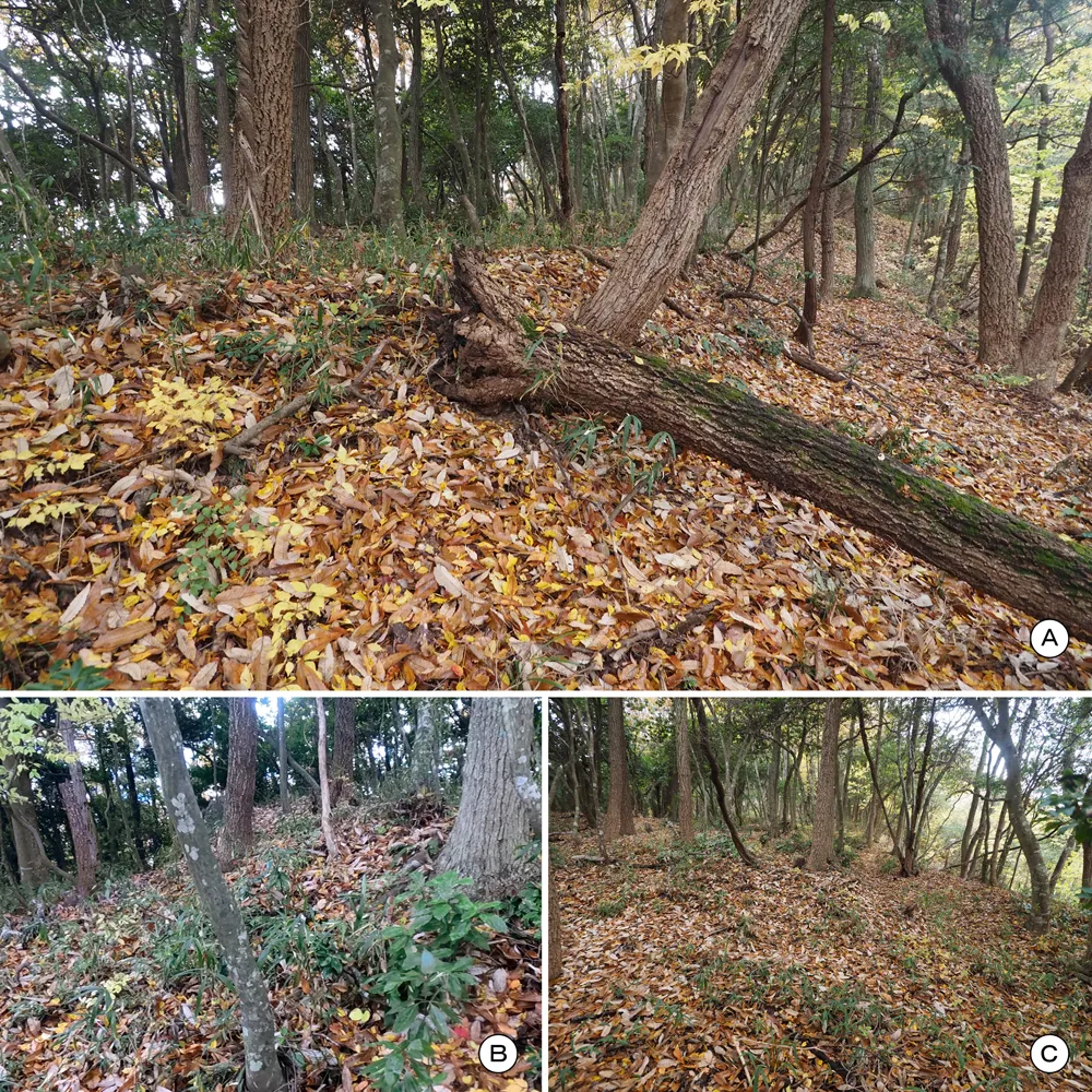 伝木下秀吉陣跡東曲輪北辺東端