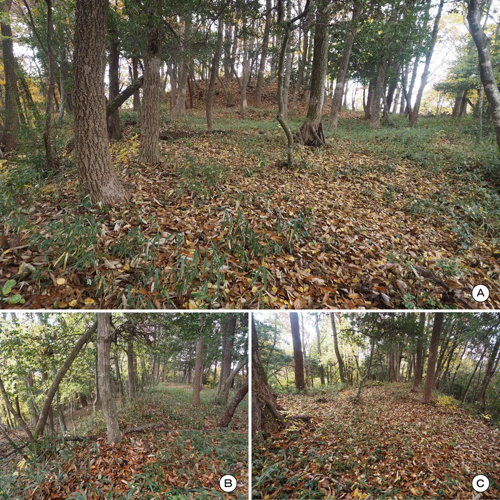 伝木下秀吉陣跡主曲輪中段東側