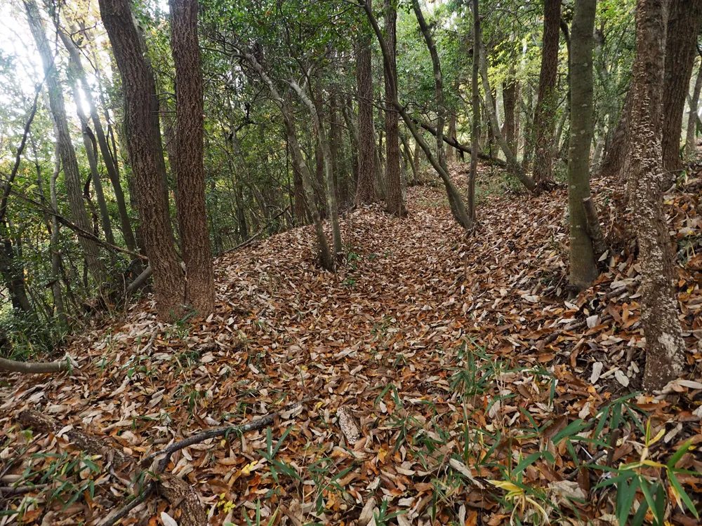 伝木下秀吉陣跡東曲輪南辺