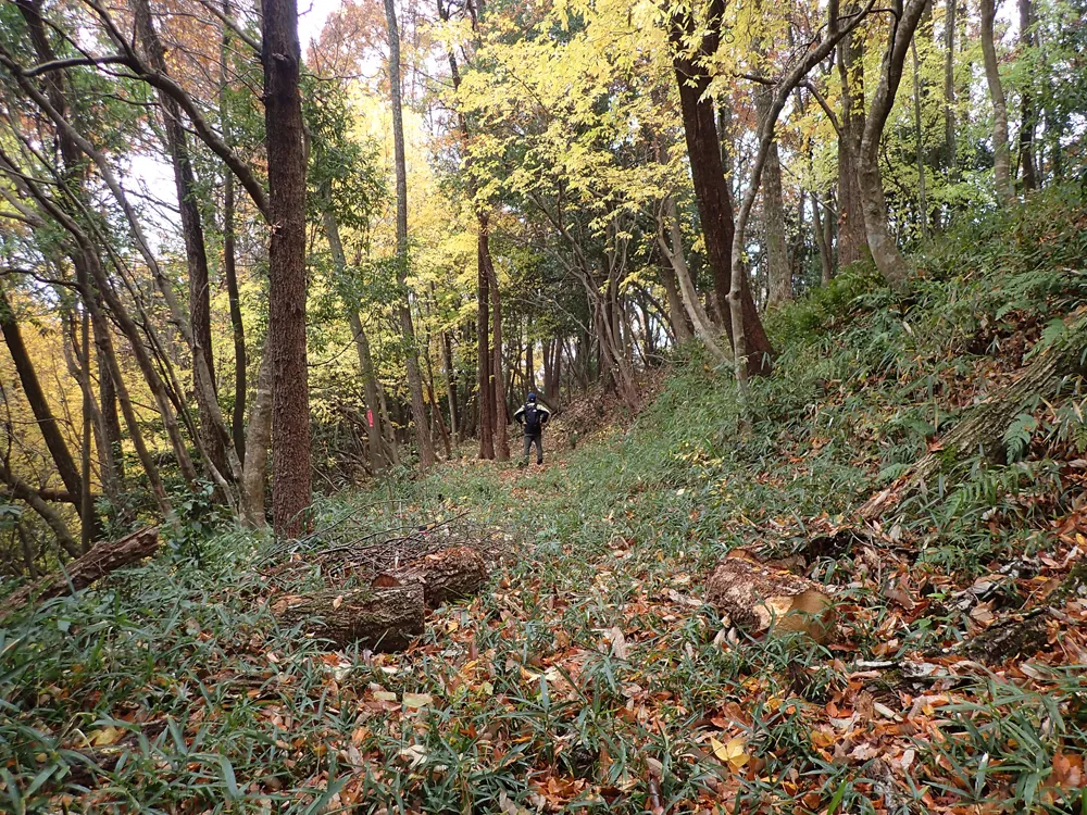 伝木下秀吉陣跡最下段北東辺部腰曲輪