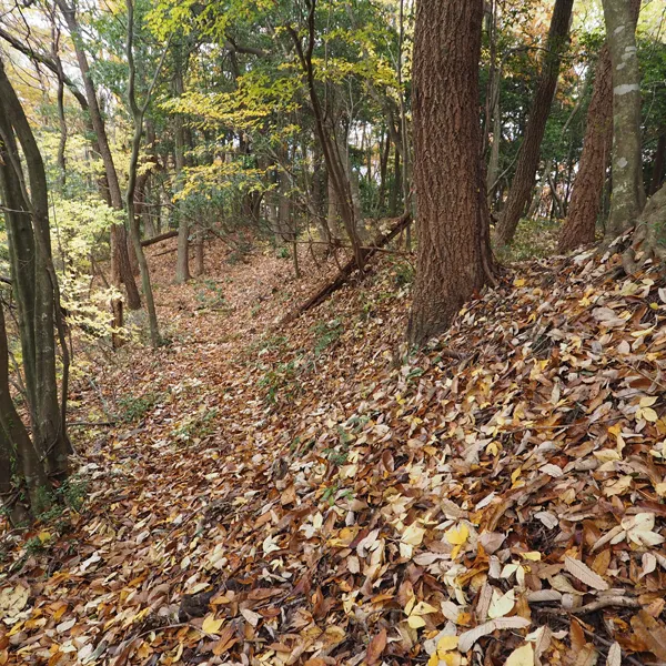 虎御前山城 (3)
