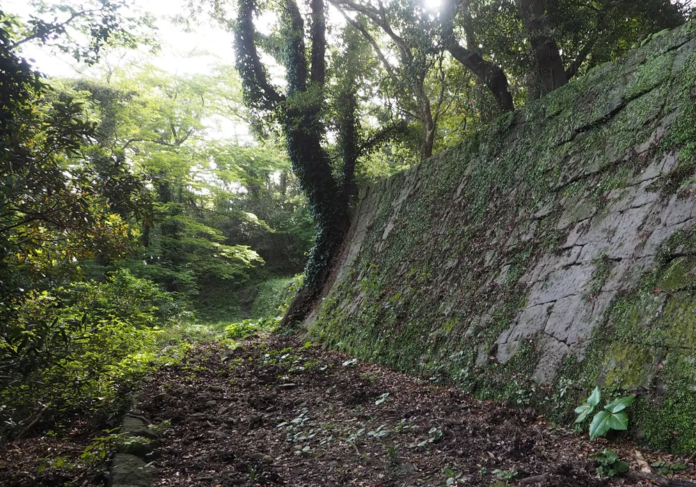 魚見岳台場 二ノ増台場上段東側石垣と通路
